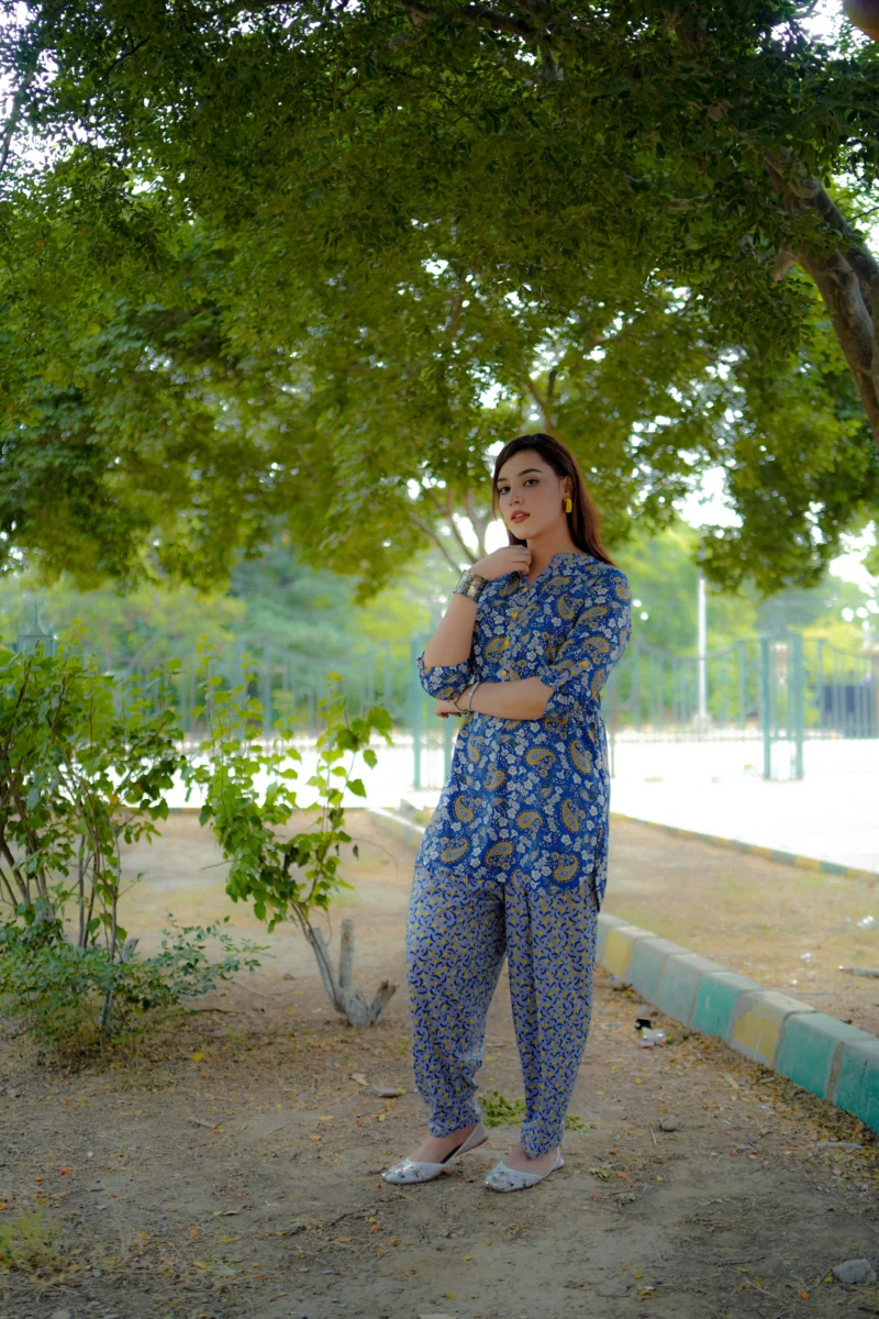 Feroza | 2 PC | STITCHED